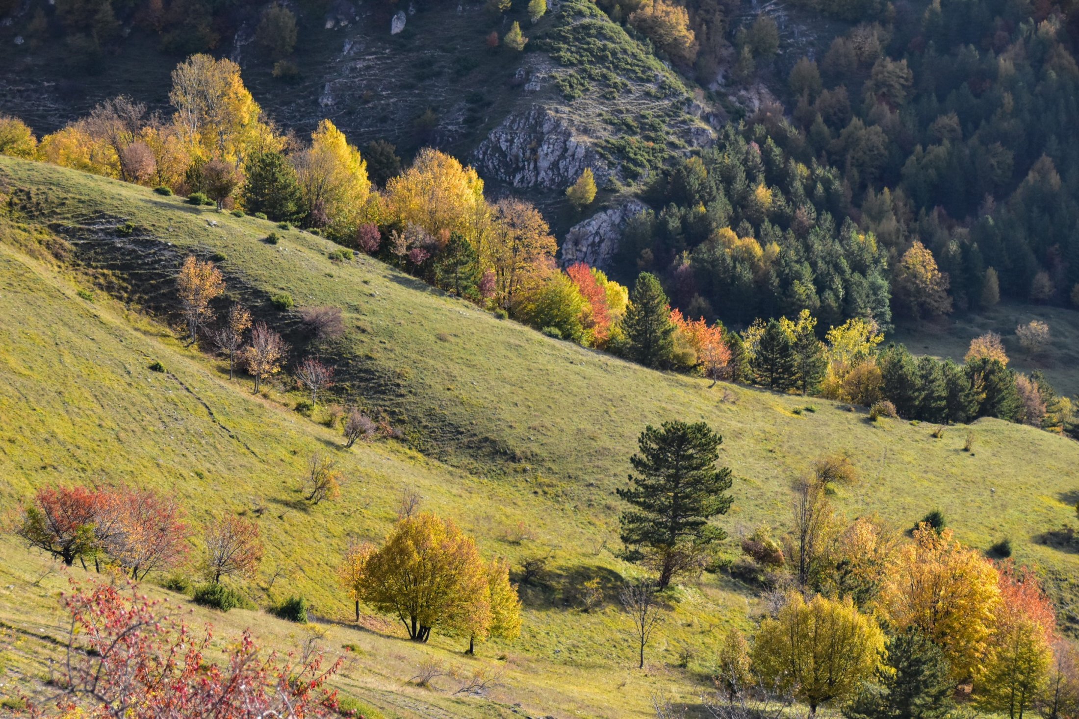 Autumn colours in Abruzzi, Italy