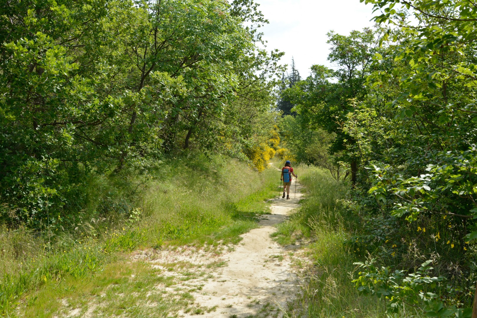 Via degli Dei von Bologna nach Florenz