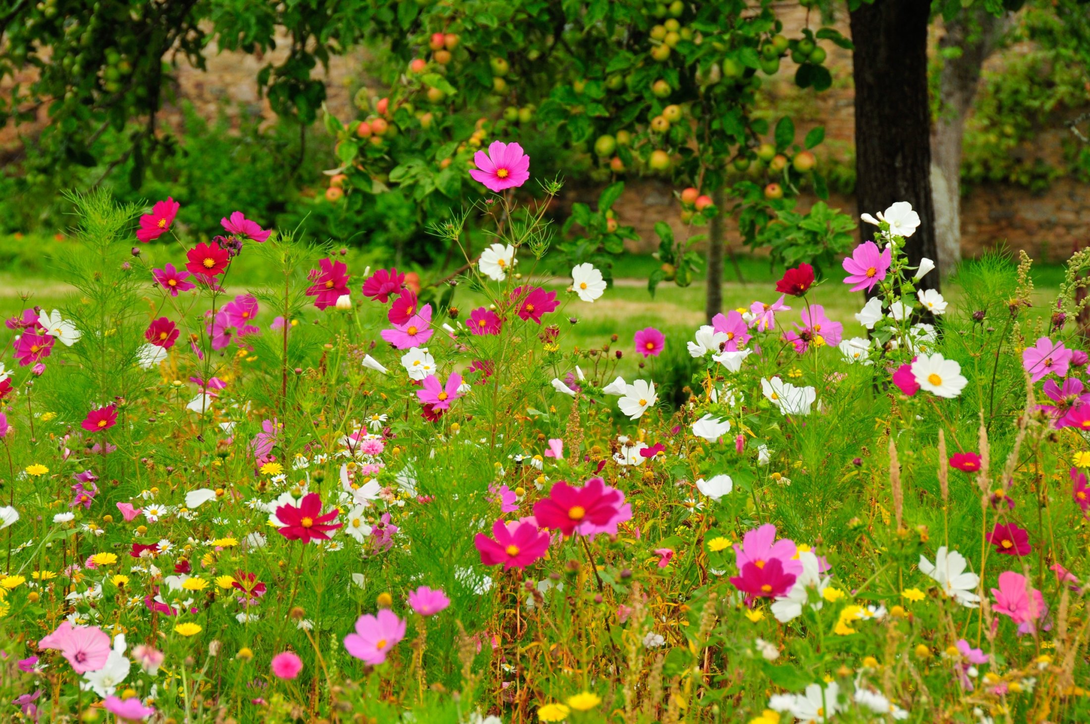 Garten der Bretagne