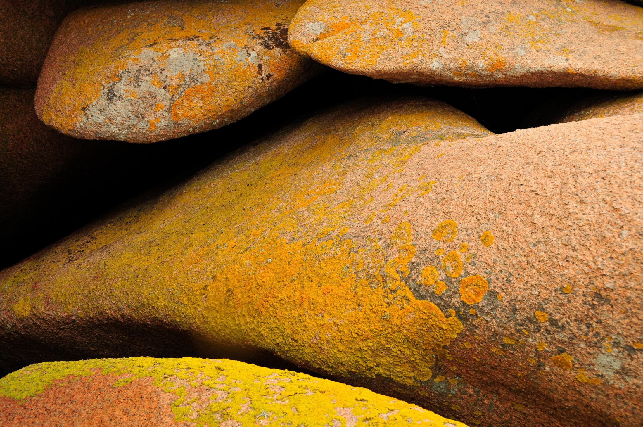 Granit rocks at the Côte de Granite rose, Brittany