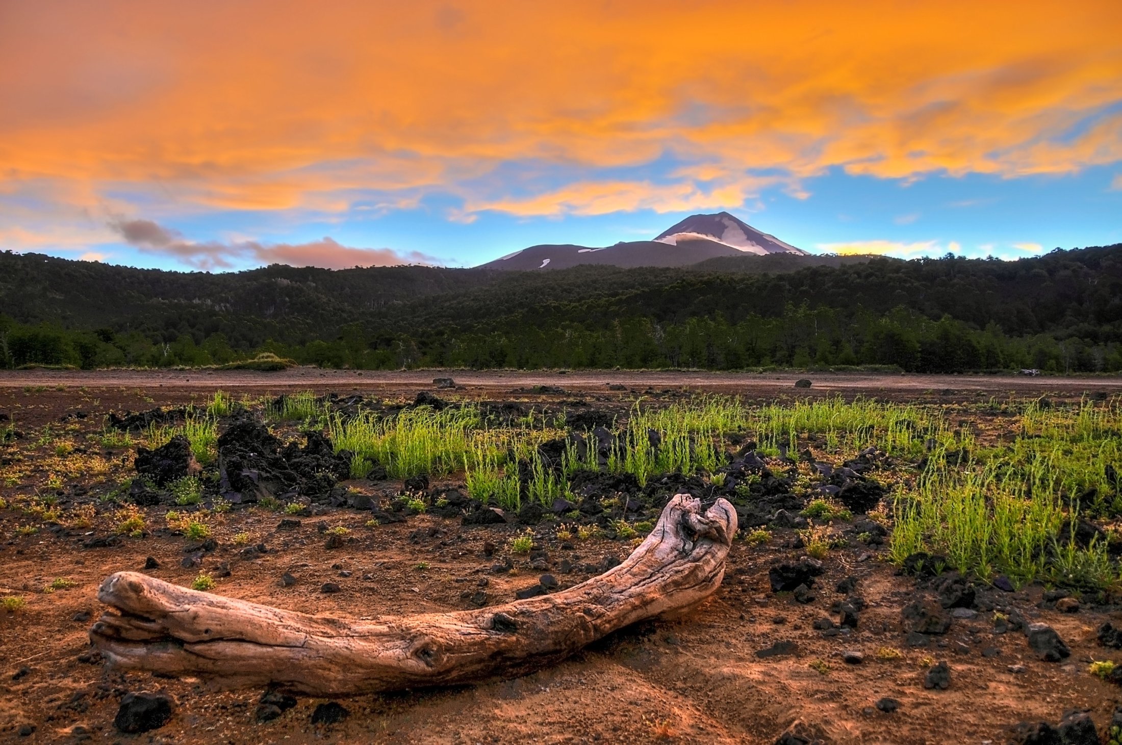 Volcano Llaima seen from the shore of Laguna Conguillio