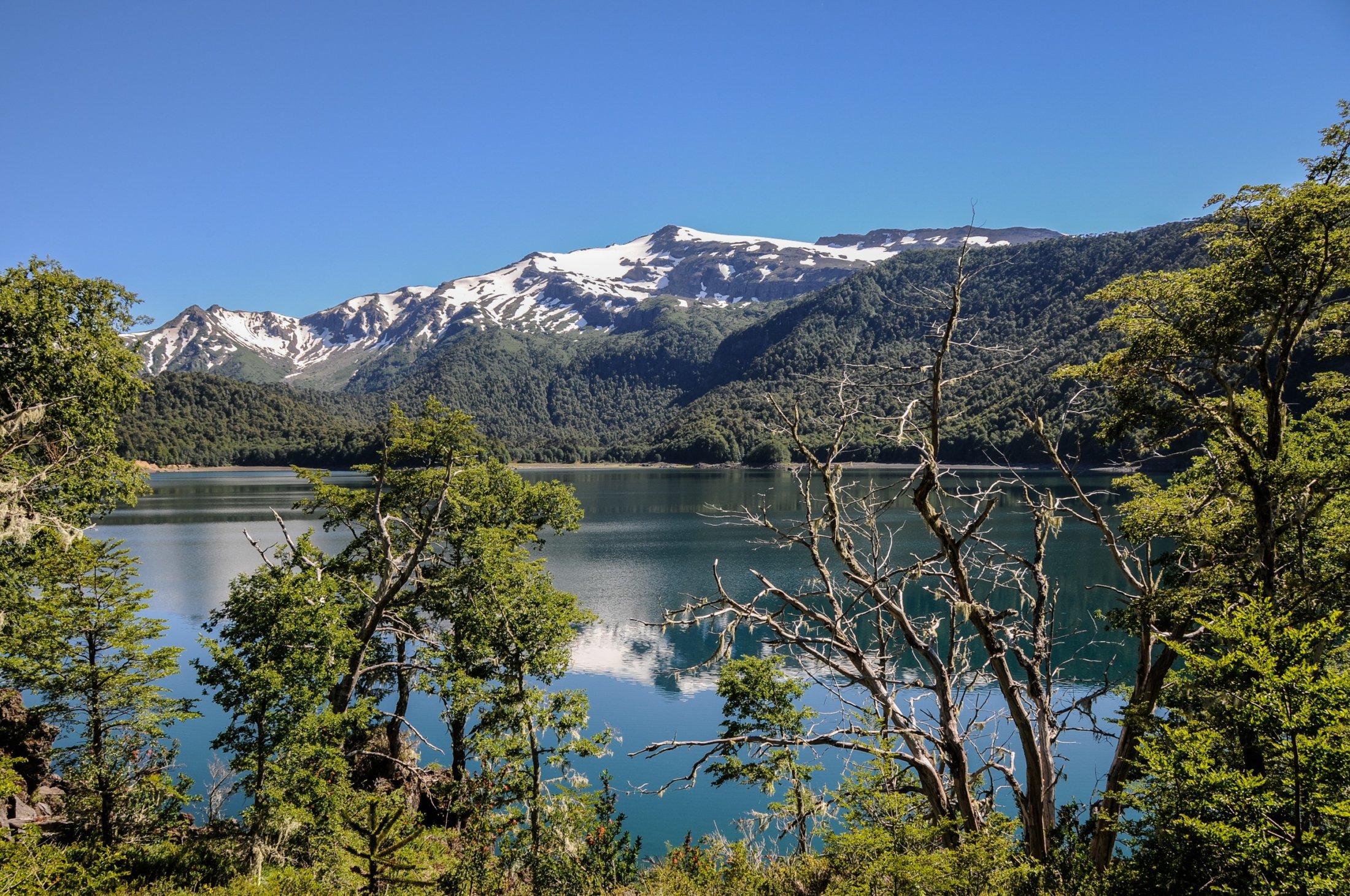 Laguna Conguillio in P.N. Conguillio