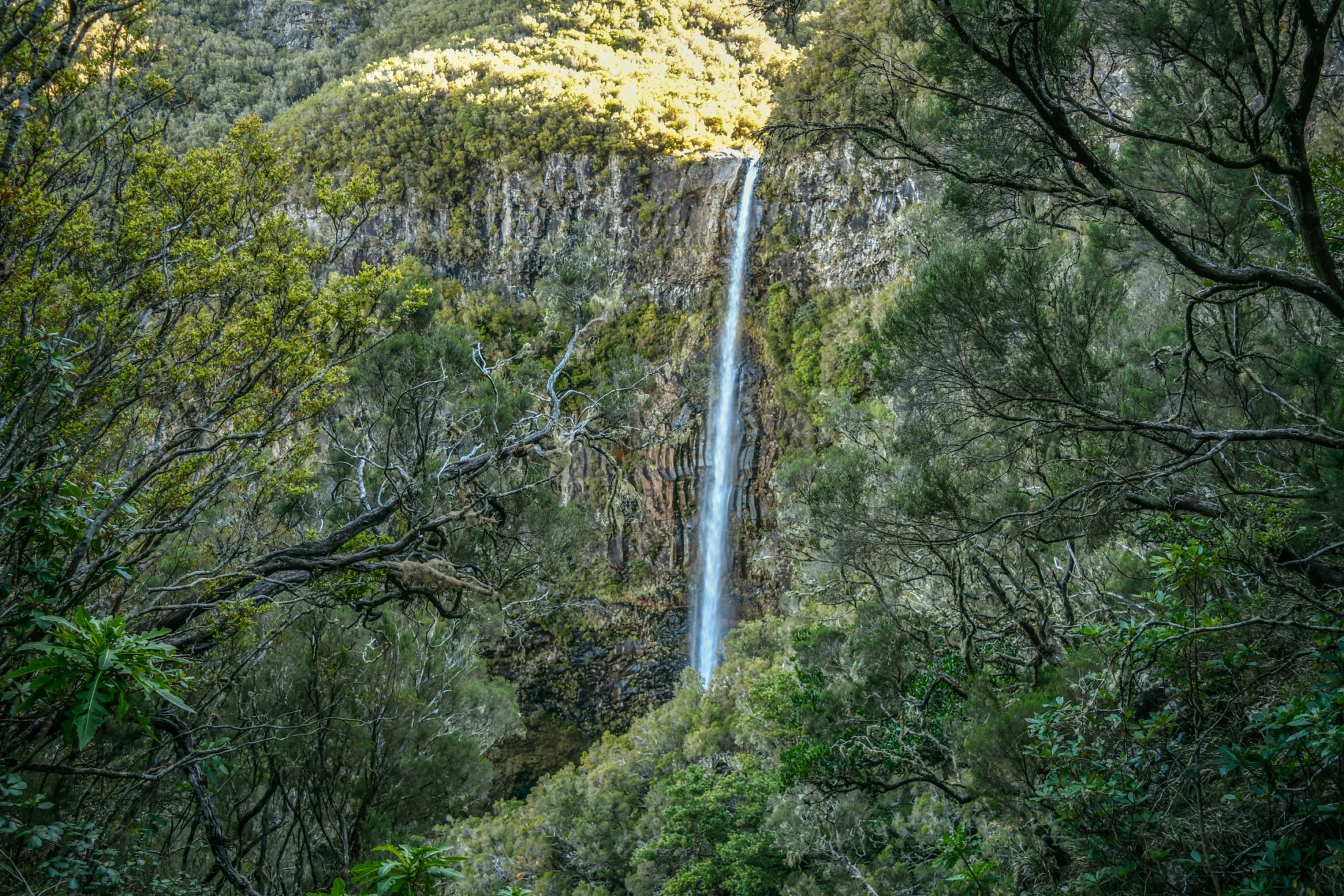 Waterfall into Lago Ventoa