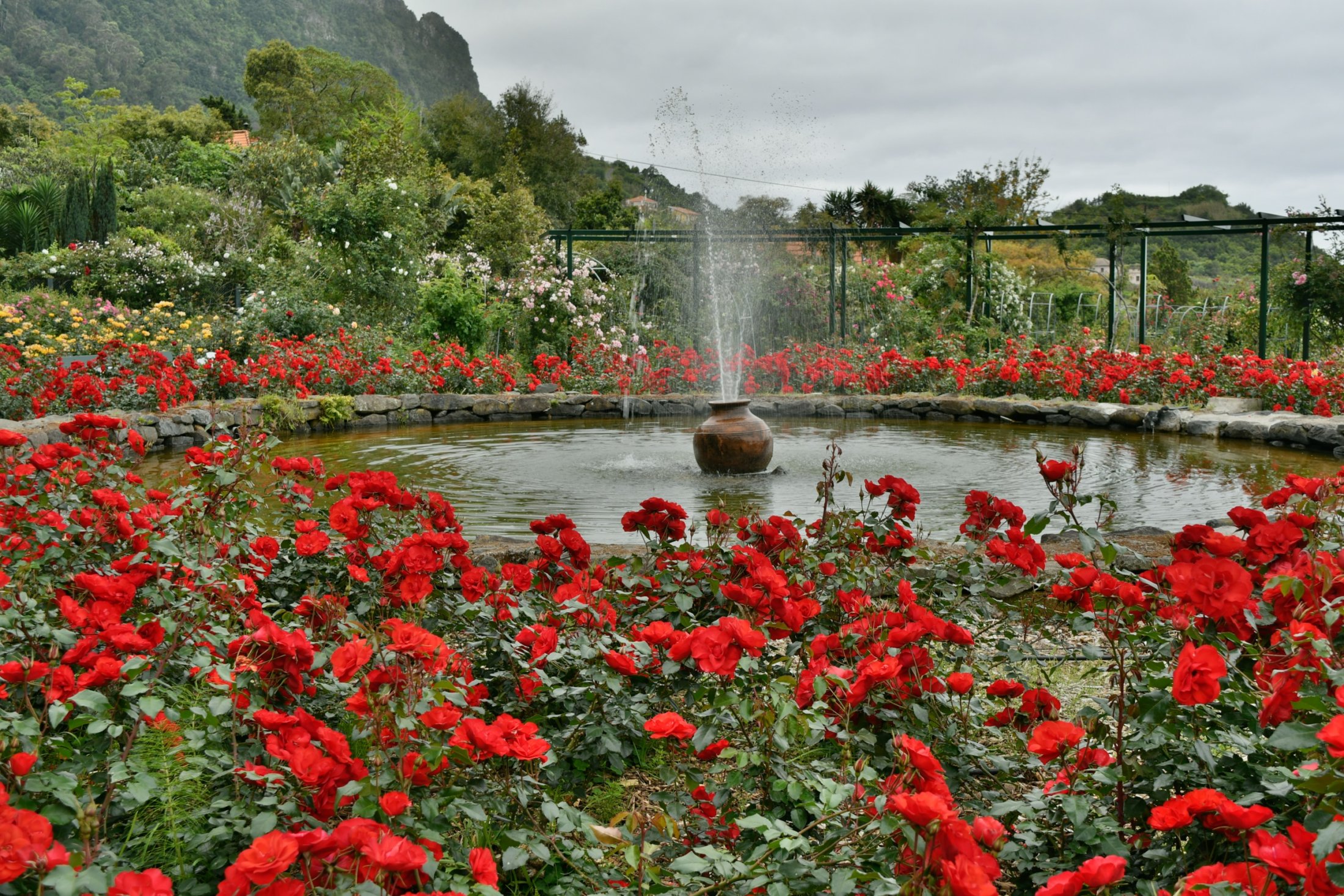 Rosarium an der Nordküste