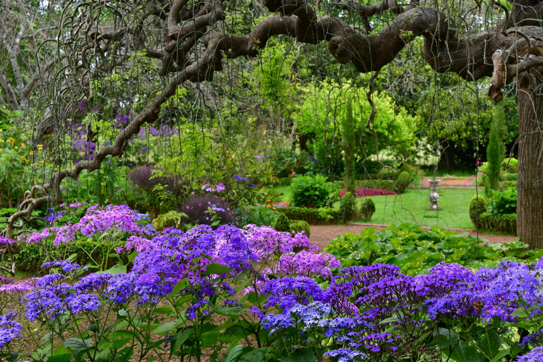 Blandy's Garden