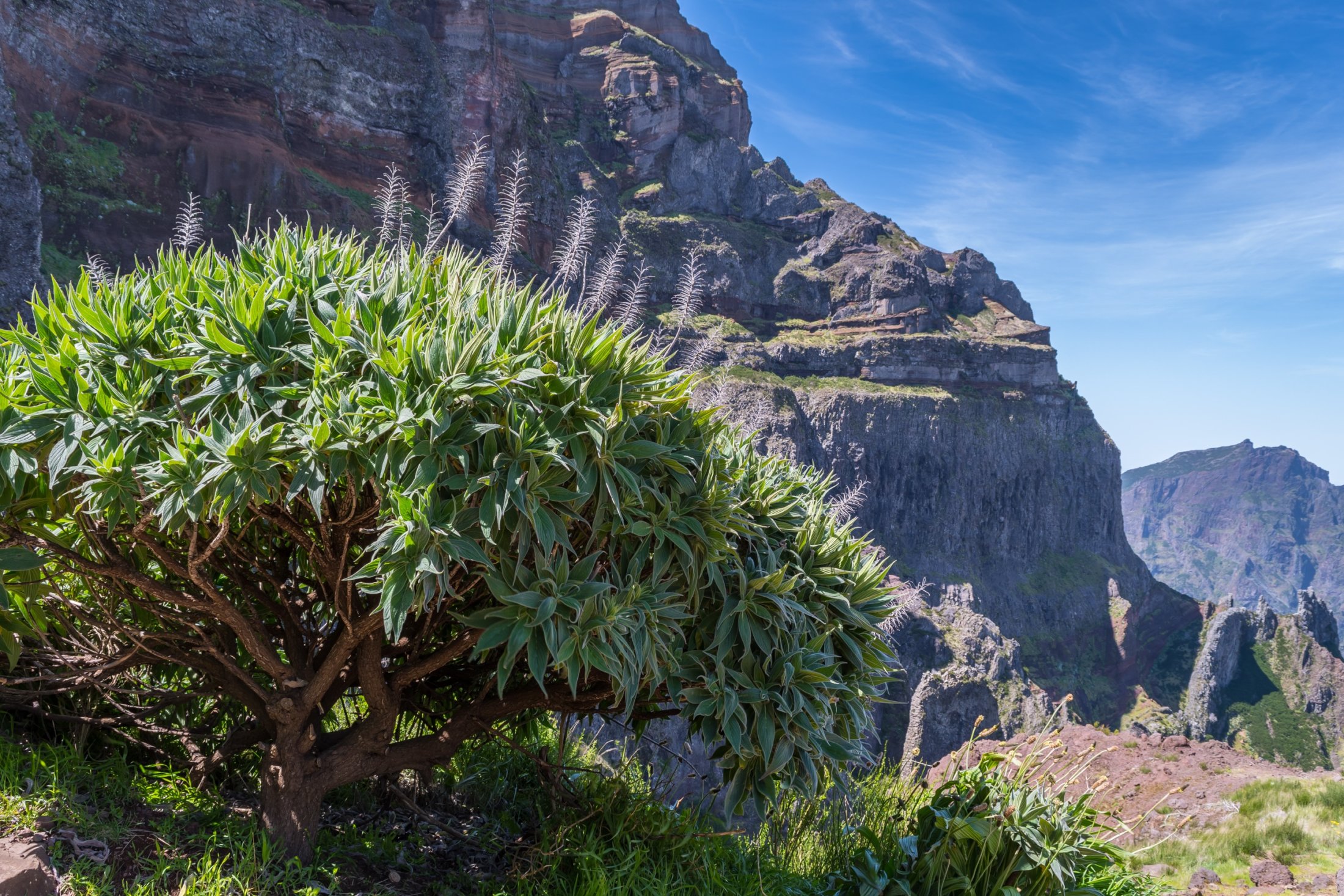 Tramping Madeira (Pico Ruivo)