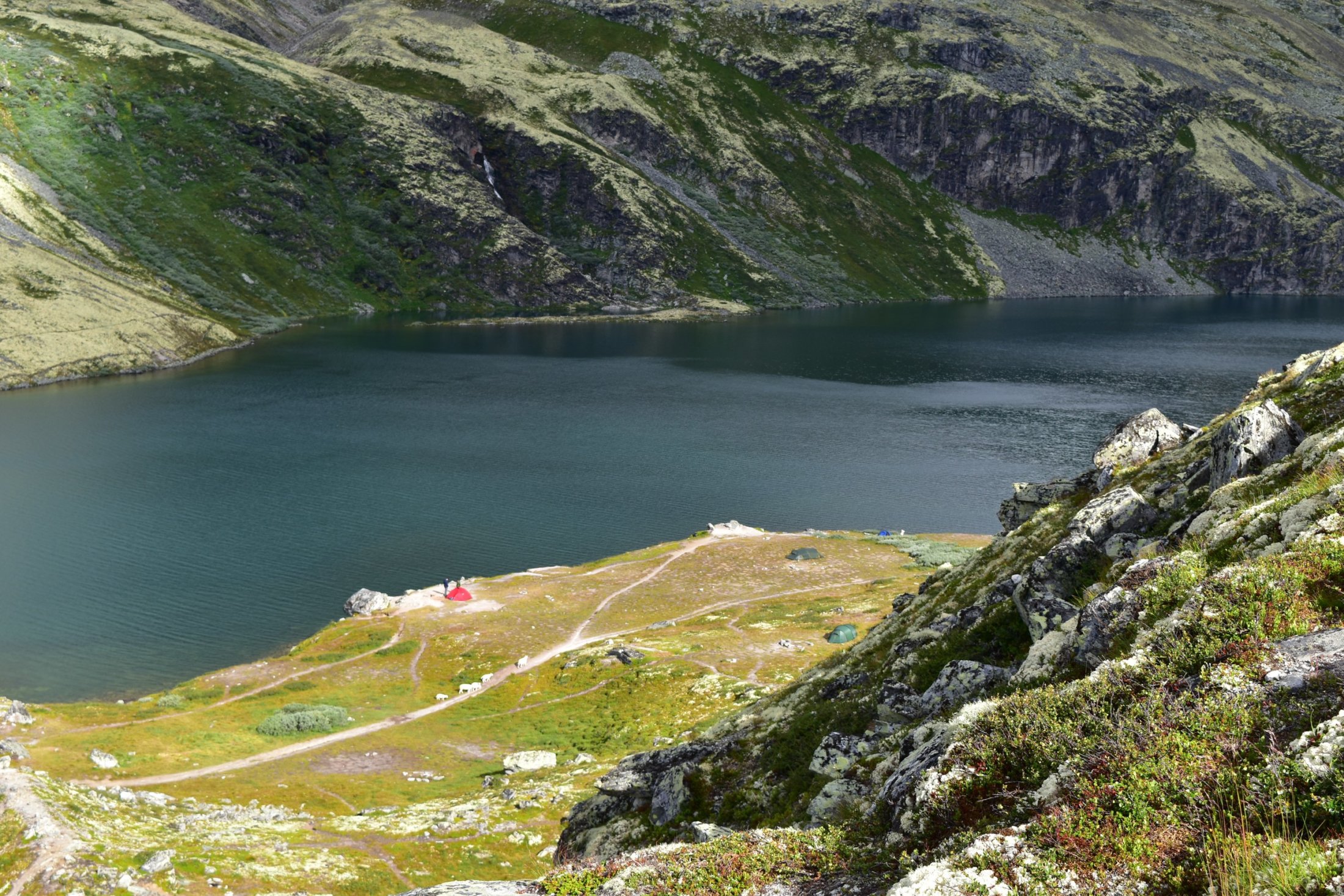 Zeltplatz an der Rondane-Hütte