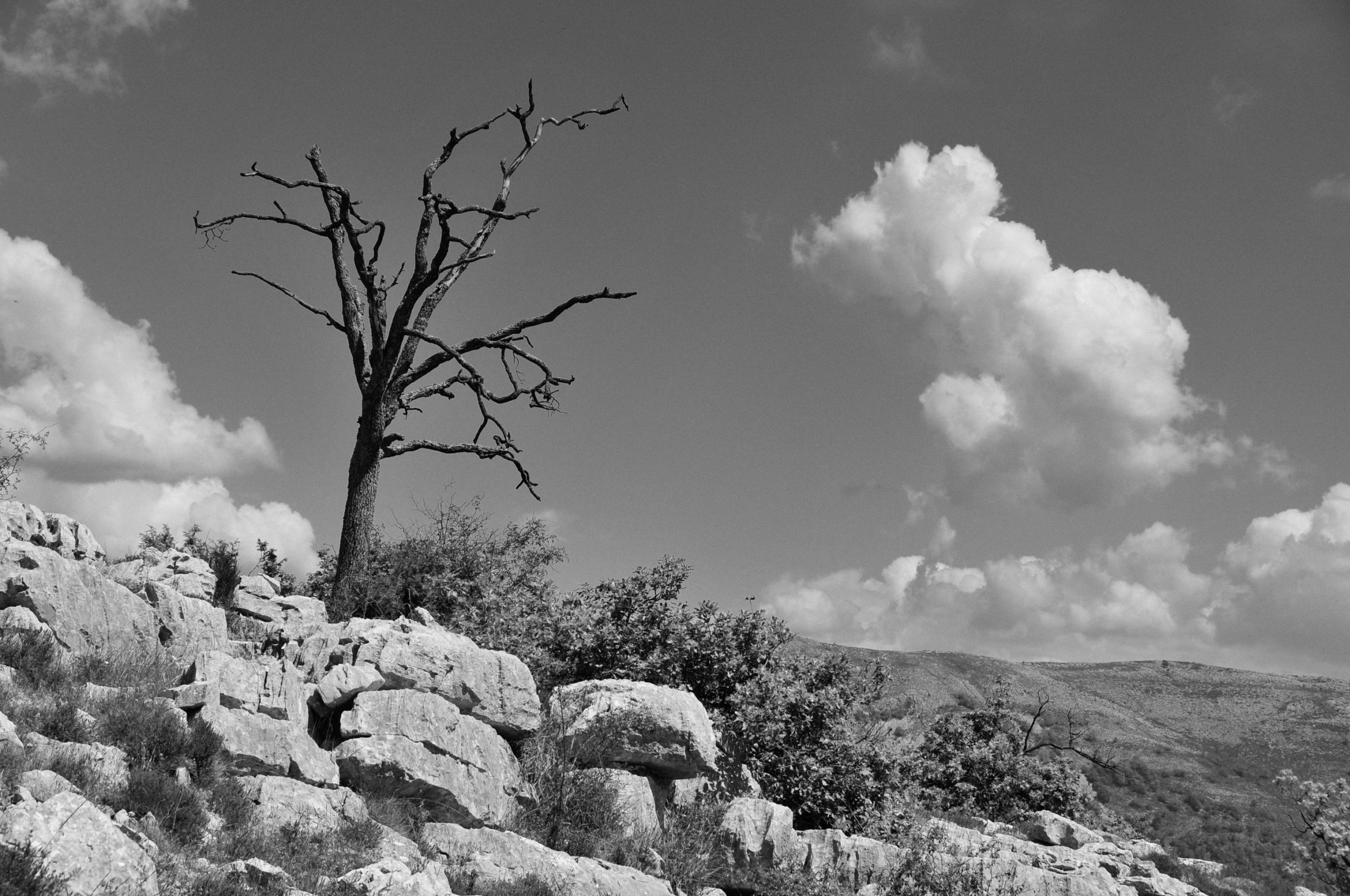 Am Col de Vence, Provence