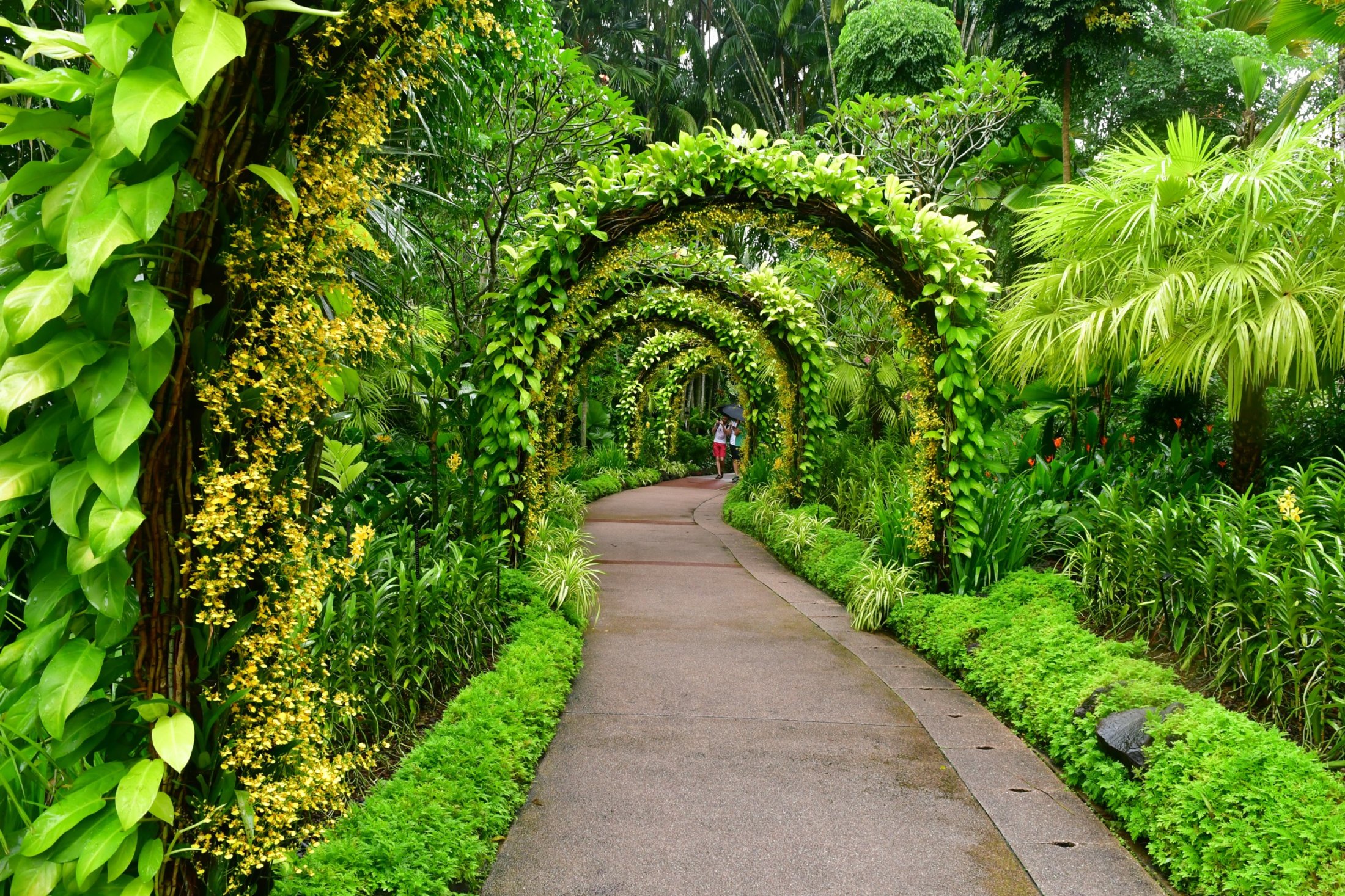 Botanischer Garten in Singapur