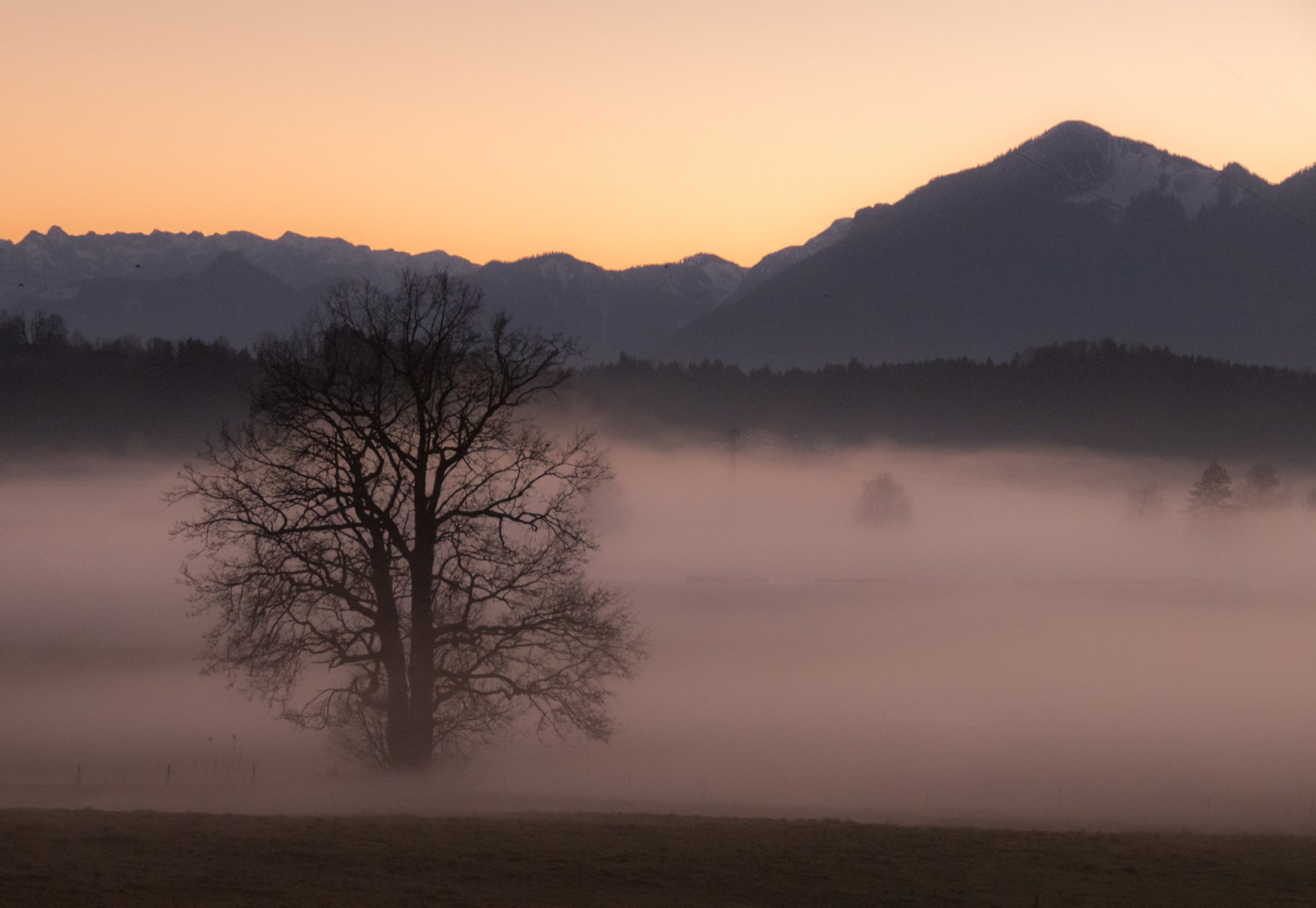 Foggy Sunset