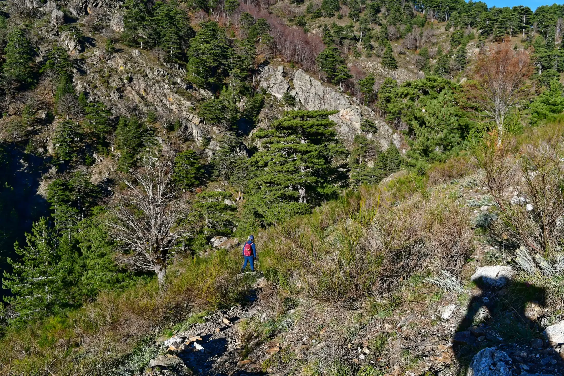 Abstieg zur Cascata Amendolea