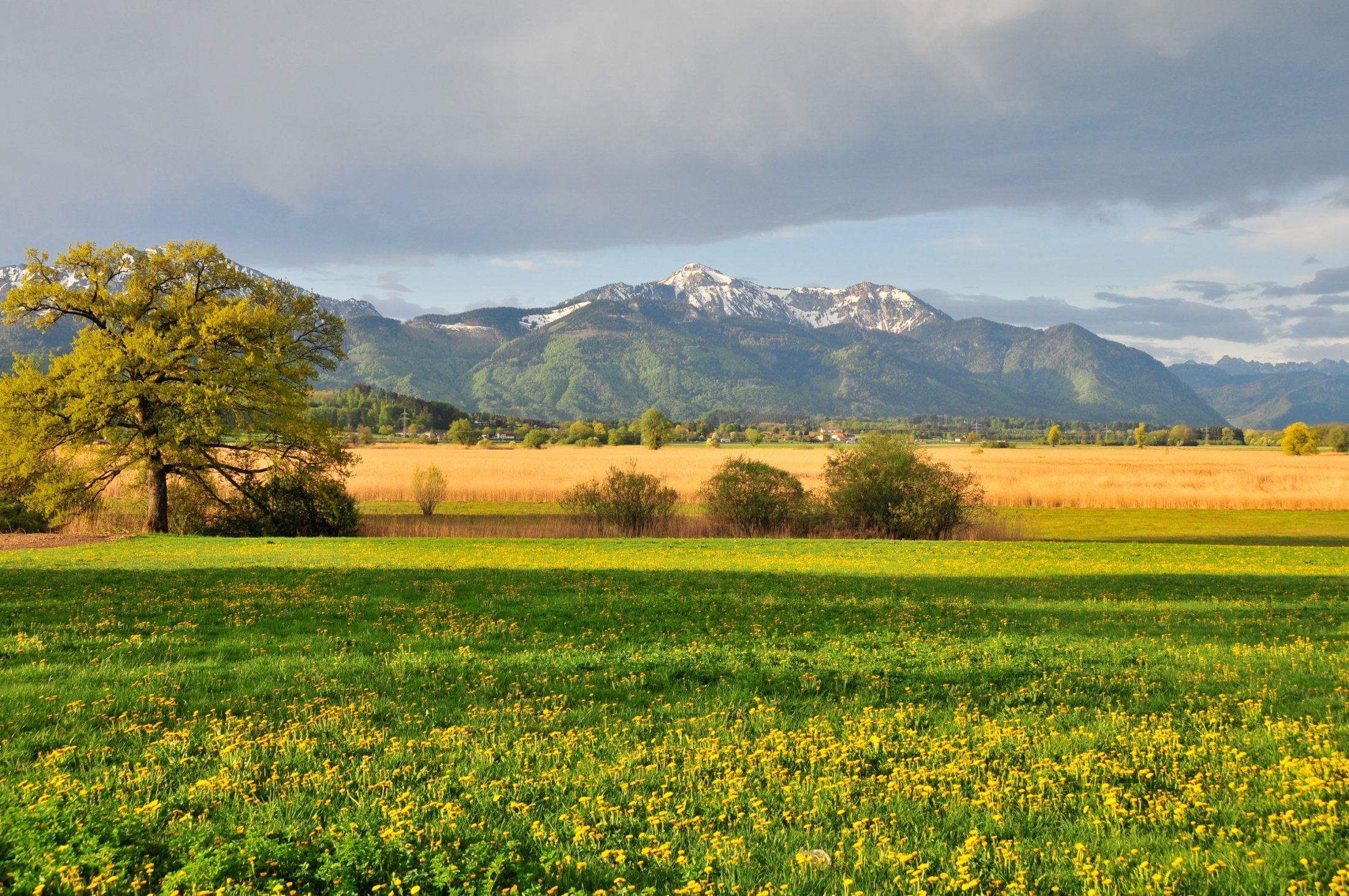 Chiemgau Alps in Spring after a night with foehn