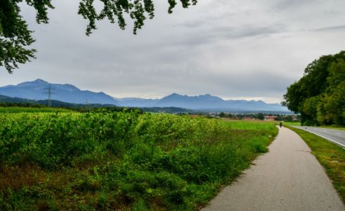 Endspurt bei Grabenstätt