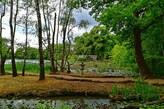 Uferweg im Schlosspark Dennenlohe