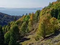 Herbstlicher Wald und Blick Richtung Bassano