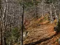 Feldweg zur Cascata Amendolea
