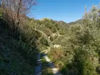 Fahrweg zum Talende