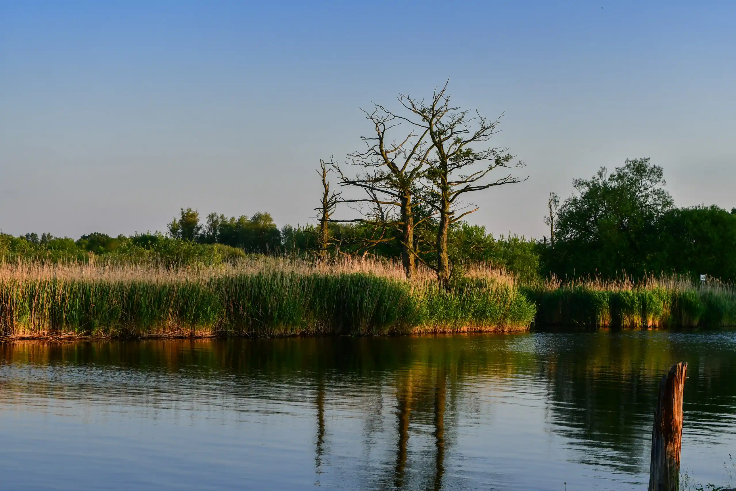 Paddeltour auf der Peene von Aalbude nach Demmin