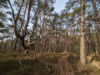 Image Thumbnail 30 for Slider 0 operation